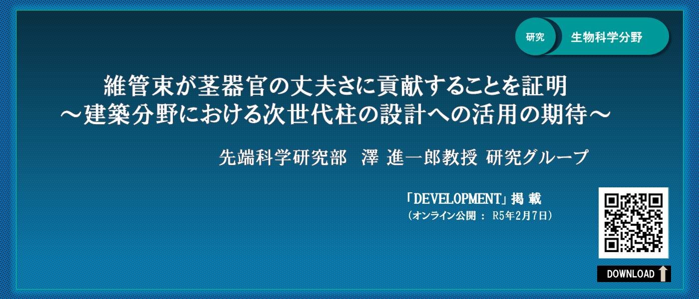 澤先生