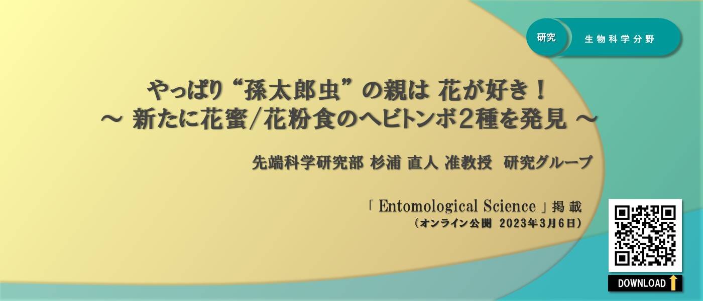 杉浦先生