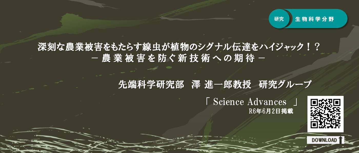澤先生