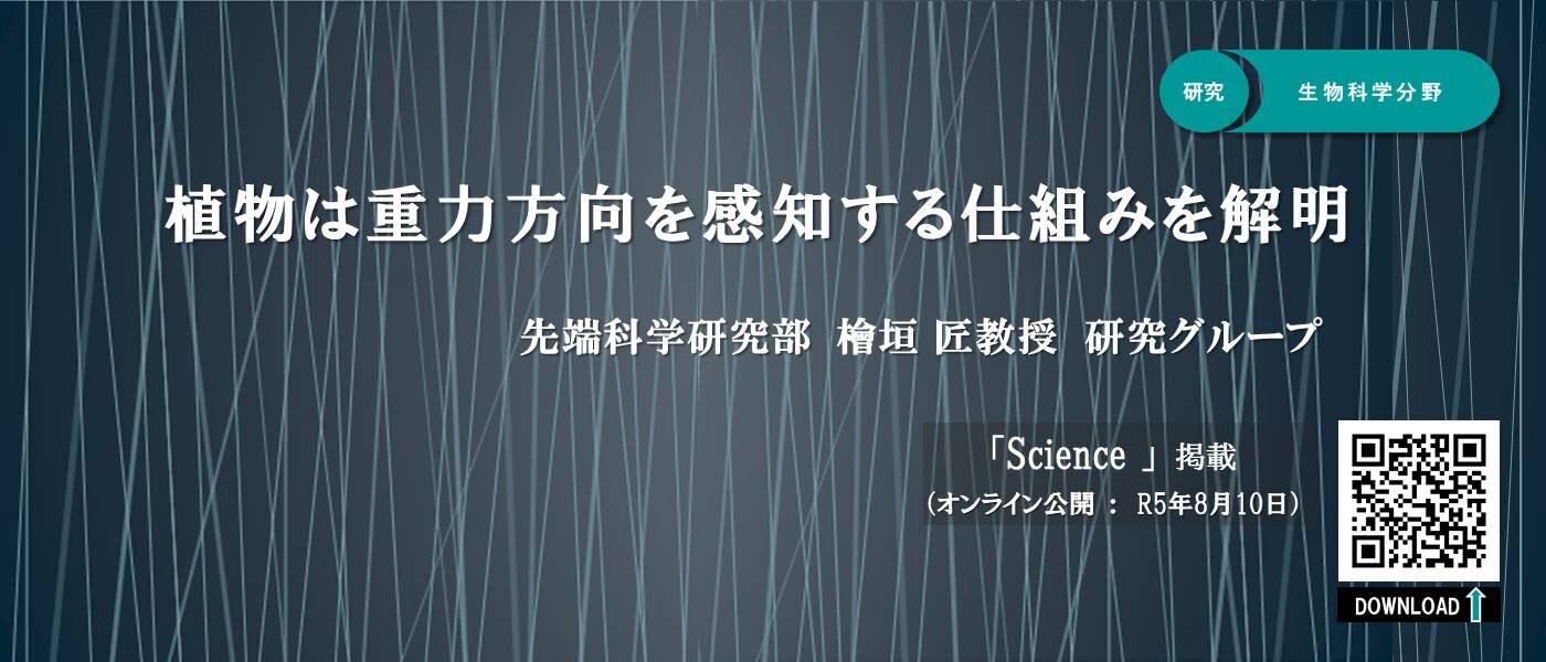 檜垣先生