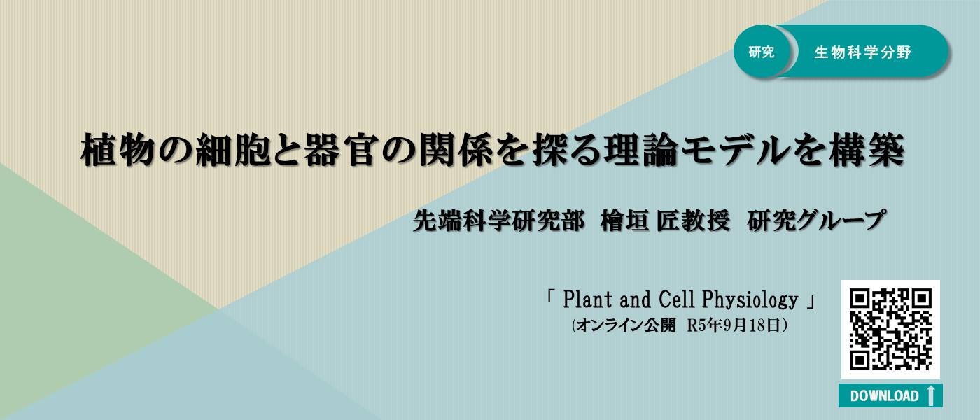 檜垣先生