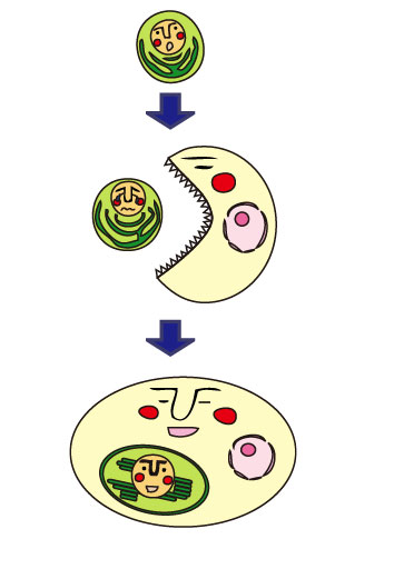 共生進化の模式図