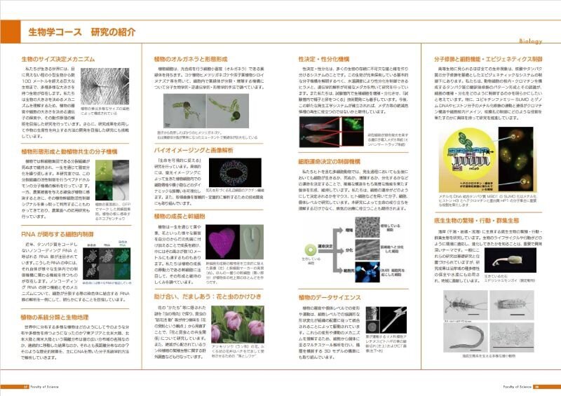 生物学コースの研究の紹介